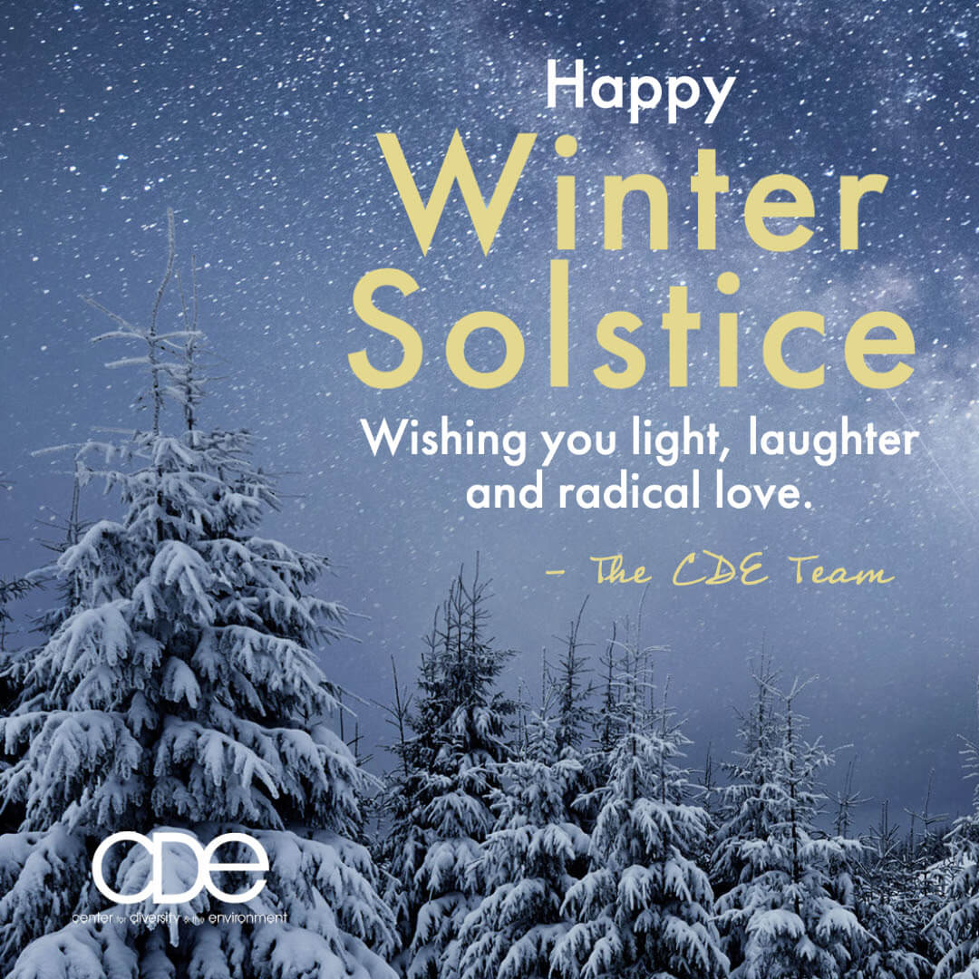 Happy Winter Solstice - Wishing you light, laughter and radical love - The CDE Team