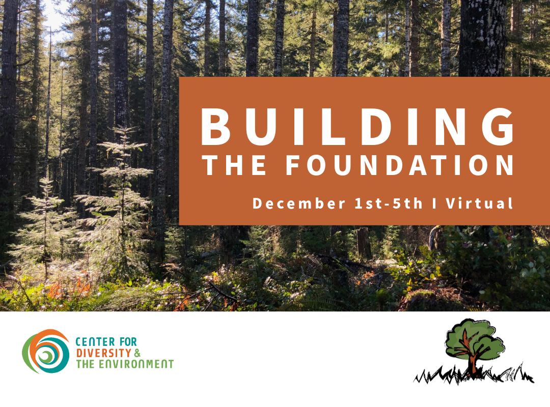 Title of the course over a forest featuring two small green trees lit by filtered sunlight.