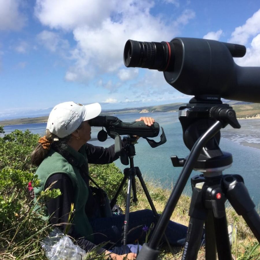 A woman sitting on a hill looking at the ocean through a camera on a tripod